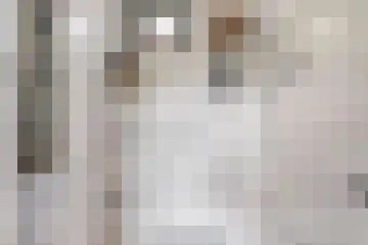 Hoogerwerfsweg "De elf Boompjes" 58 Bruinisse thumbnail 16