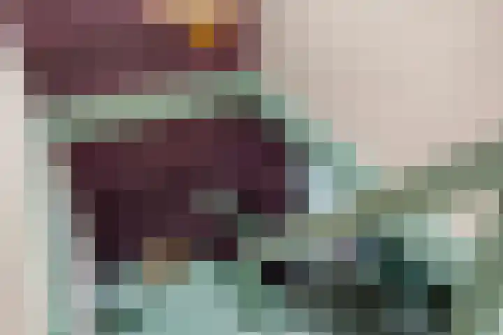 Hoogerwerfsweg "De elf Boompjes" 58 Bruinisse thumbnail 18