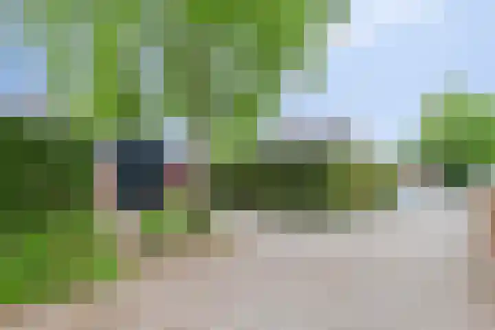 Hoogerwerfsweg "De elf Boompjes" 58 Bruinisse foto 2