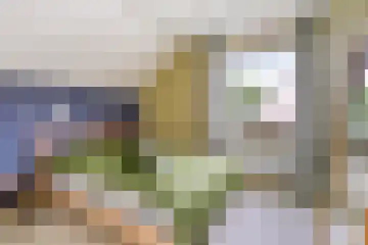 Hoogerwerfsweg "De elf Boompjes" 58 Bruinisse thumbnail 24