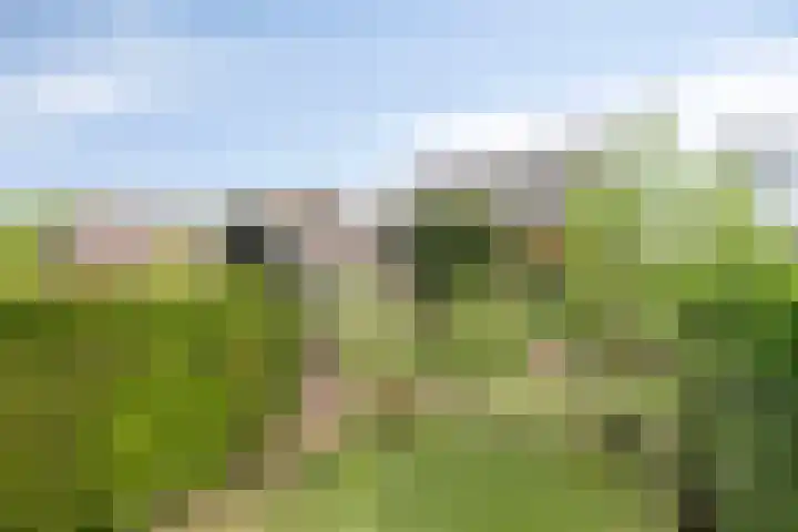 Hoogerwerfsweg "De elf Boompjes" 58 Bruinisse thumbnail 27