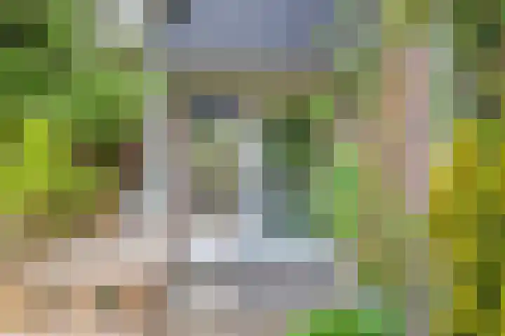 Hoogerwerfsweg "De elf Boompjes" 58 Bruinisse thumbnail 29