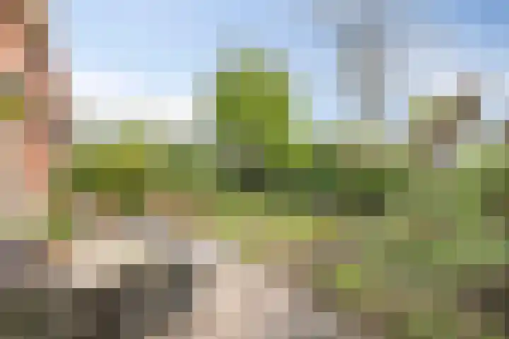 Hoogerwerfsweg "De elf Boompjes" 58 Bruinisse thumbnail 30