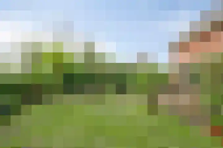 Hoogerwerfsweg "De elf Boompjes" 58 Bruinisse thumbnail 31