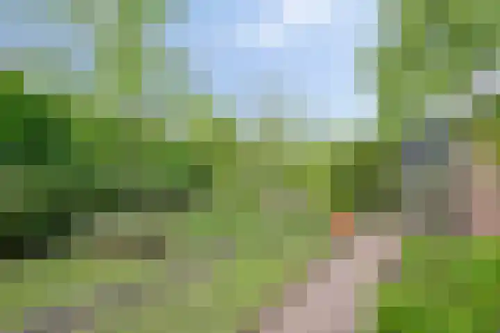 Hoogerwerfsweg "De elf Boompjes" 58 Bruinisse thumbnail 32