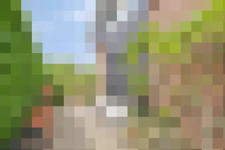 Hoogerwerfsweg "De elf Boompjes" 58 Bruinisse thumbnail 33