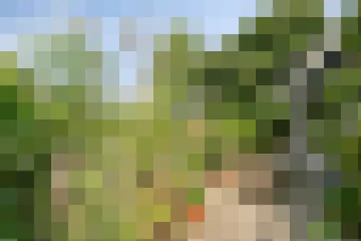Hoogerwerfsweg "De elf Boompjes" 58 Bruinisse thumbnail 34