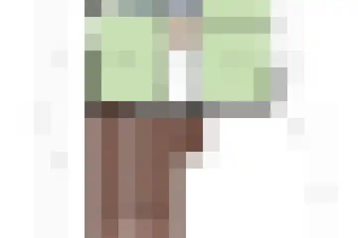Hoogerwerfsweg "De elf Boompjes" 58 Bruinisse thumbnail 37