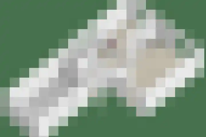 Hoogerwerfsweg "De elf Boompjes" 58 Bruinisse thumbnail 40