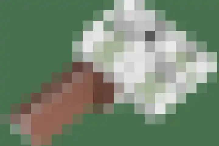 Hoogerwerfsweg "De elf Boompjes" 58 Bruinisse thumbnail 41