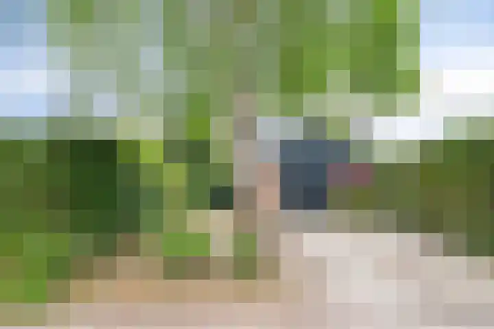 Hoogerwerfsweg "De elf Boompjes" 58 Bruinisse thumbnail 8