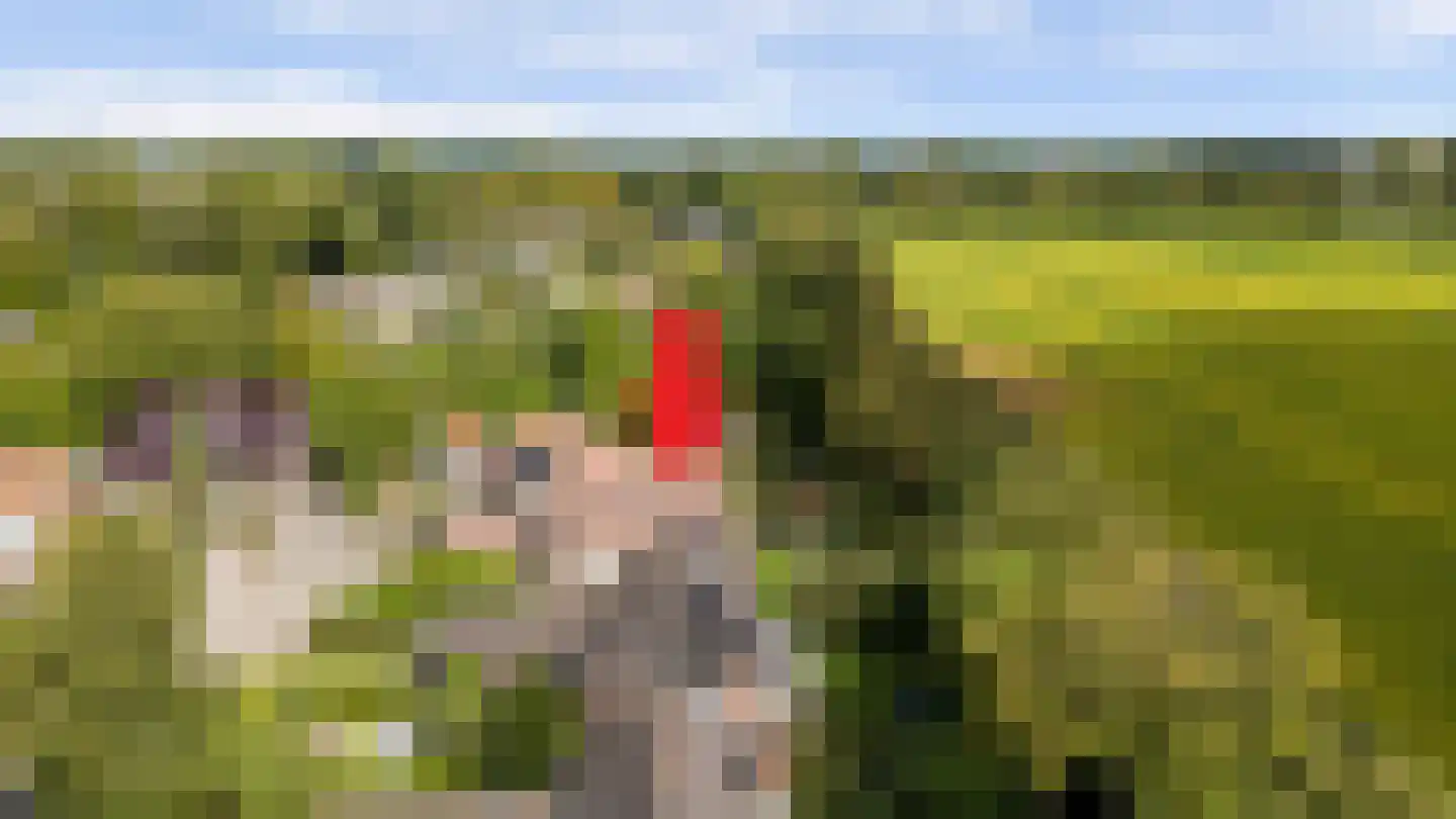 Hoogerwerfsweg "De elf Boompjes" 59 Bruinisse thumbnail 33