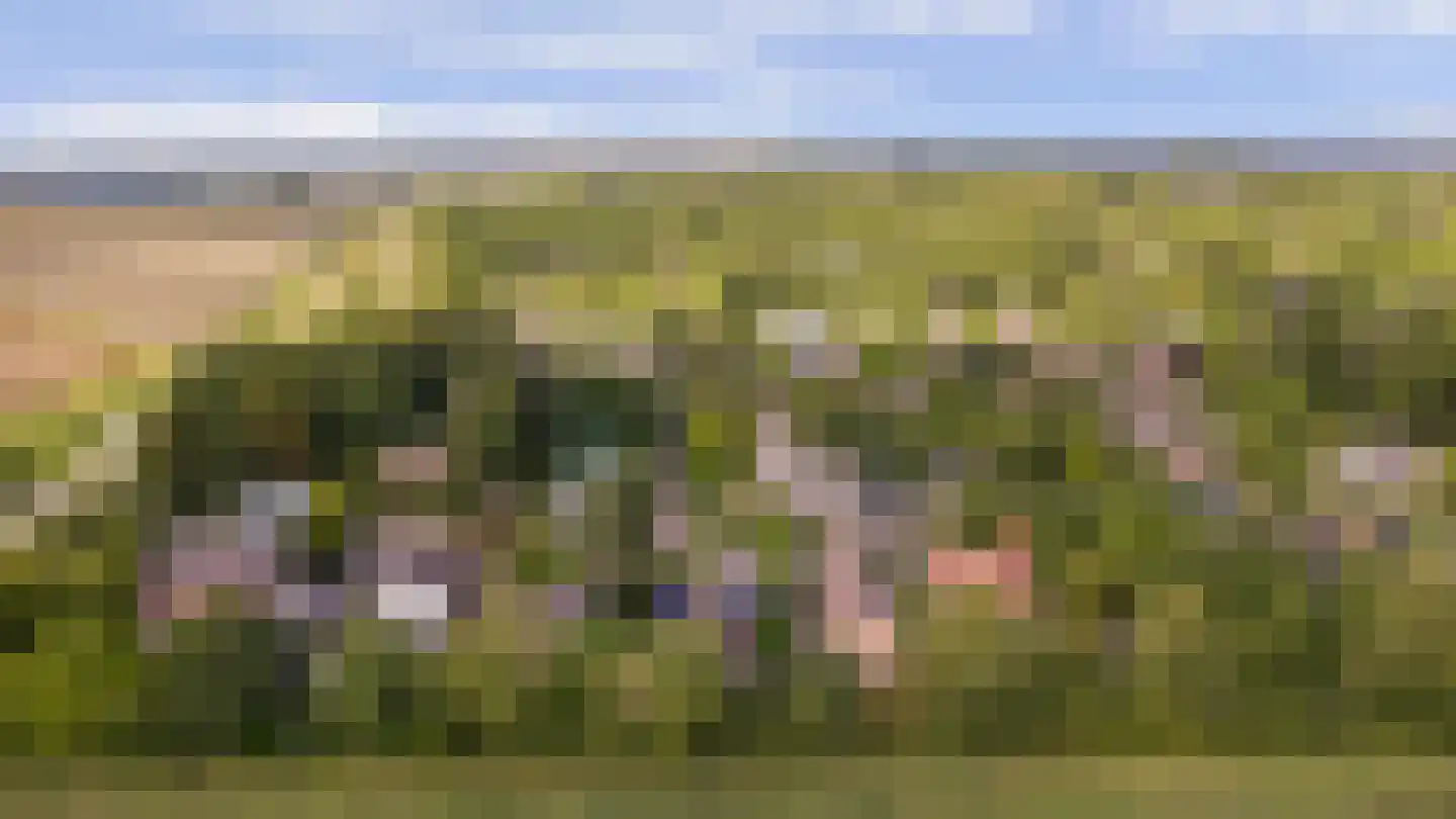 Hoogerwerfsweg "De elf Boompjes" 59 Bruinisse thumbnail 34