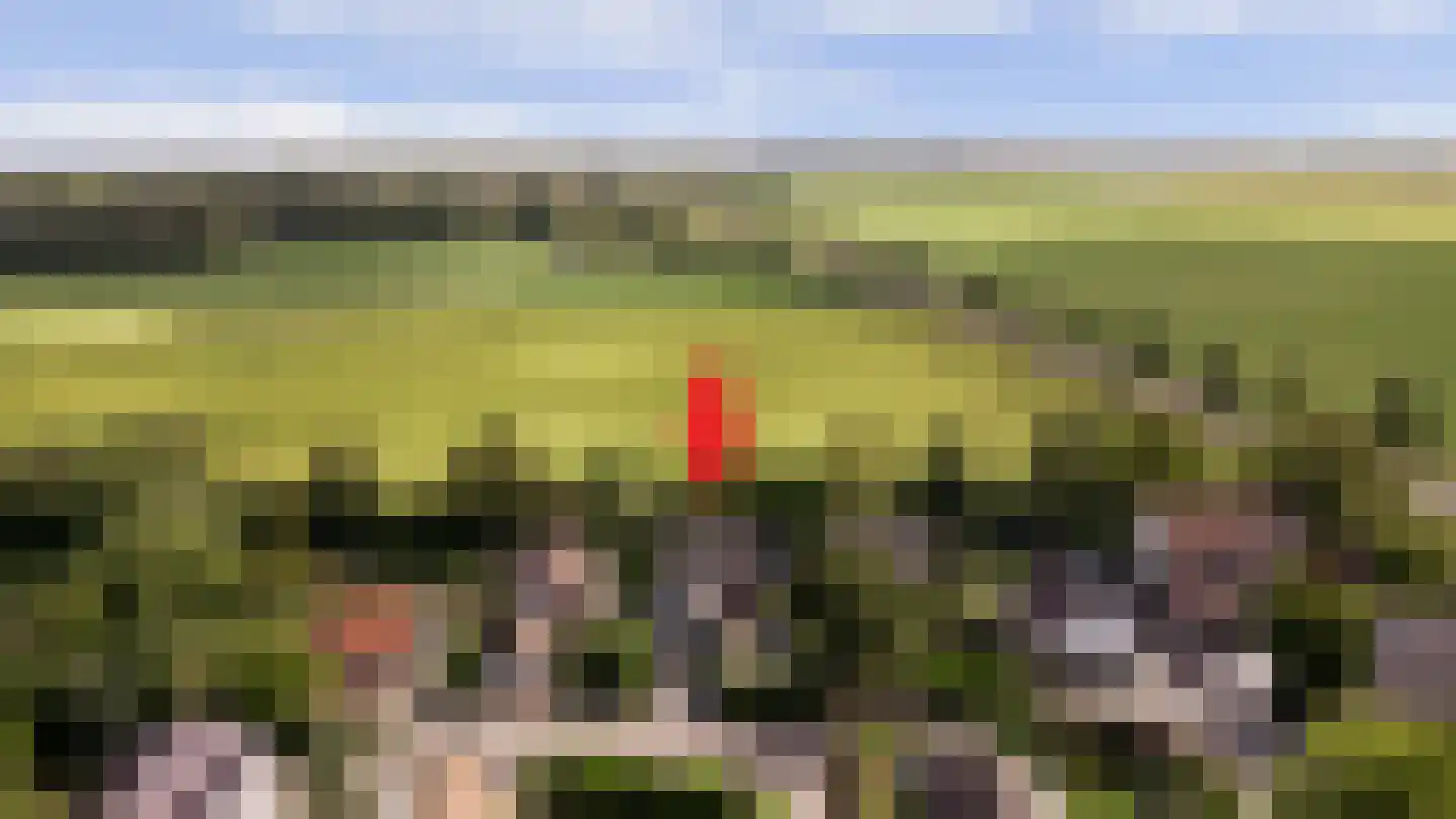 Hoogerwerfsweg "De elf Boompjes" 59 Bruinisse thumbnail 36