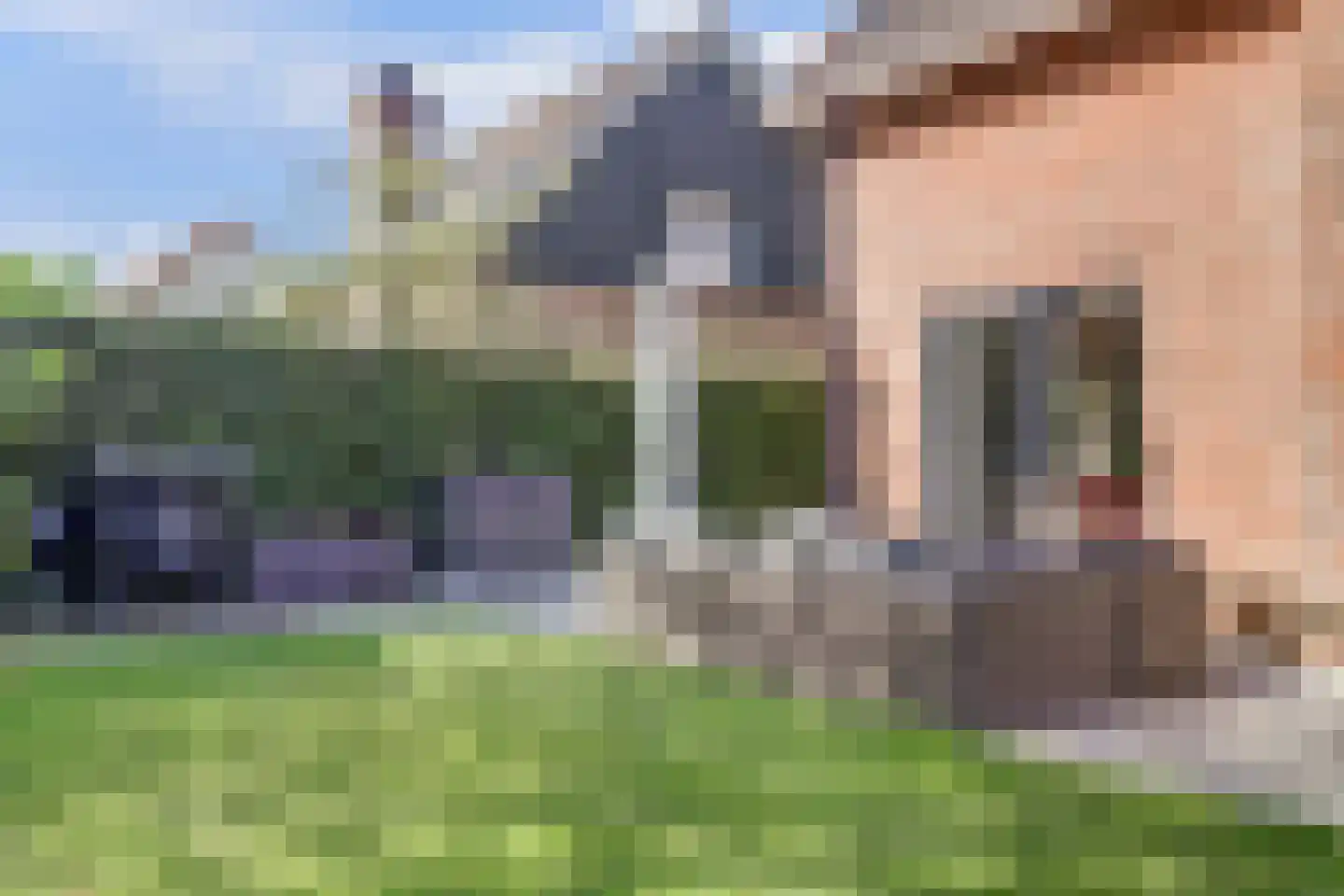 Hoogerwerfsweg "De elf Boompjes" 59 Bruinisse thumbnail 4