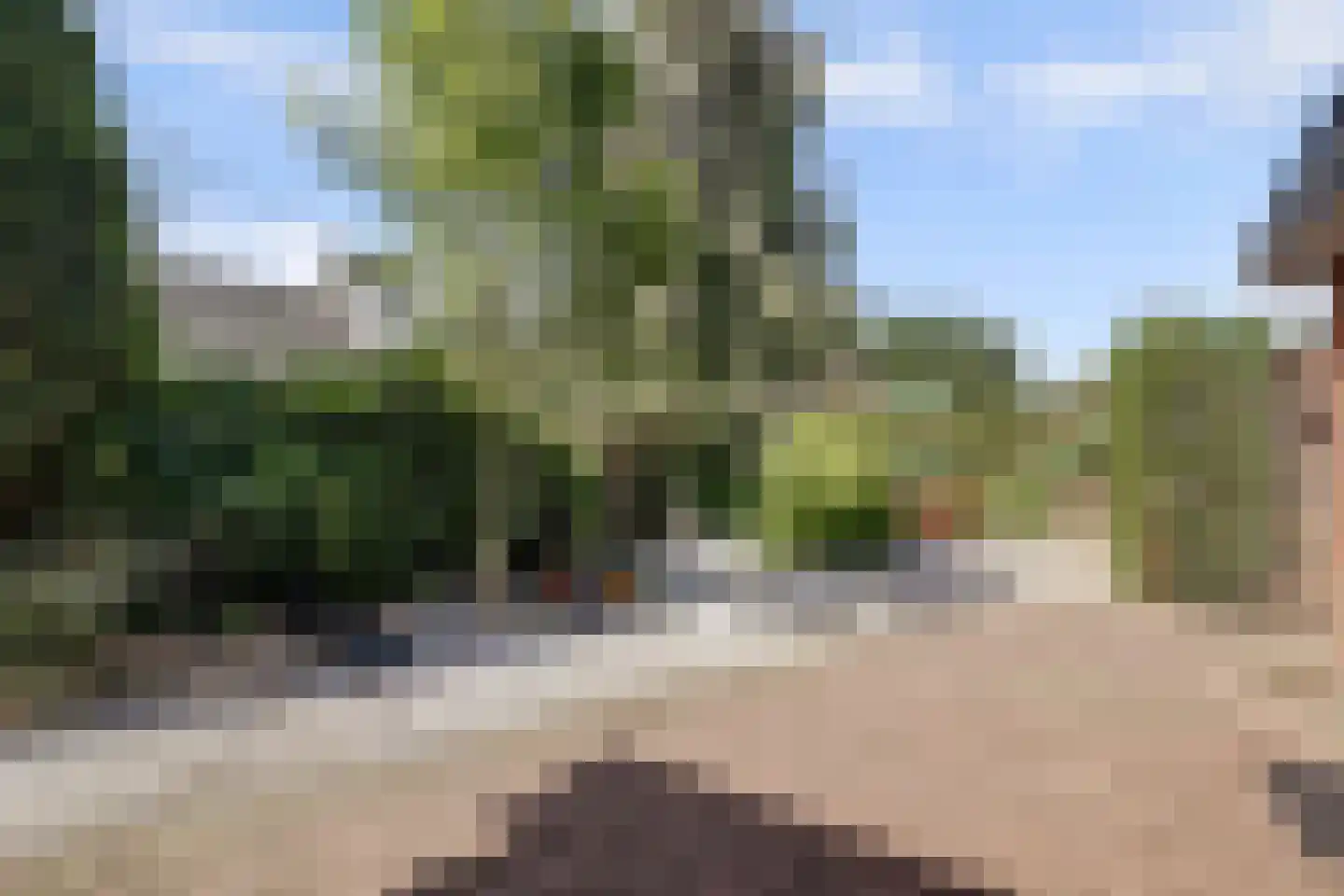Hoogerwerfsweg "De elf Boompjes" 59 Bruinisse thumbnail 7