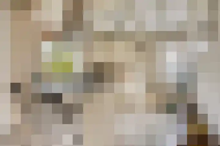 Hoogerwerfsweg "De elf Boompjes" 87 Bruinisse thumbnail 10