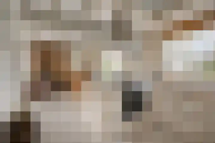 Hoogerwerfsweg "De elf Boompjes" 87 Bruinisse thumbnail 11