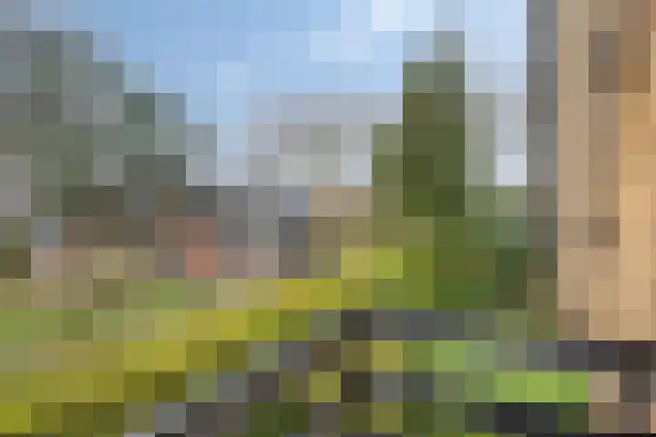Hoogerwerfsweg "De elf Boompjes" 87 Bruinisse thumbnail 16