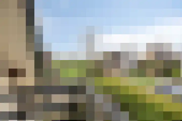 Hoogerwerfsweg "De elf Boompjes" 87 Bruinisse thumbnail 17