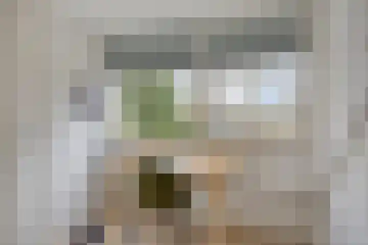 Hoogerwerfsweg "De elf Boompjes" 87 Bruinisse thumbnail 20