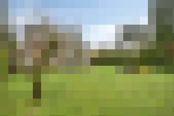 Hoogerwerfsweg "De elf Boompjes" 87 Bruinisse thumbnail 25