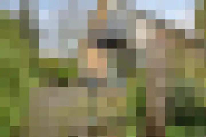 Hoogerwerfsweg "De elf Boompjes" 87 Bruinisse thumbnail 27
