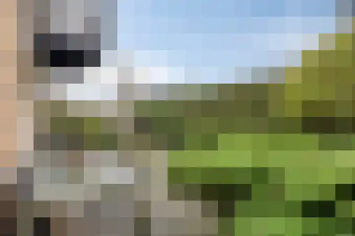 Hoogerwerfsweg "De elf Boompjes" 87 Bruinisse thumbnail 28