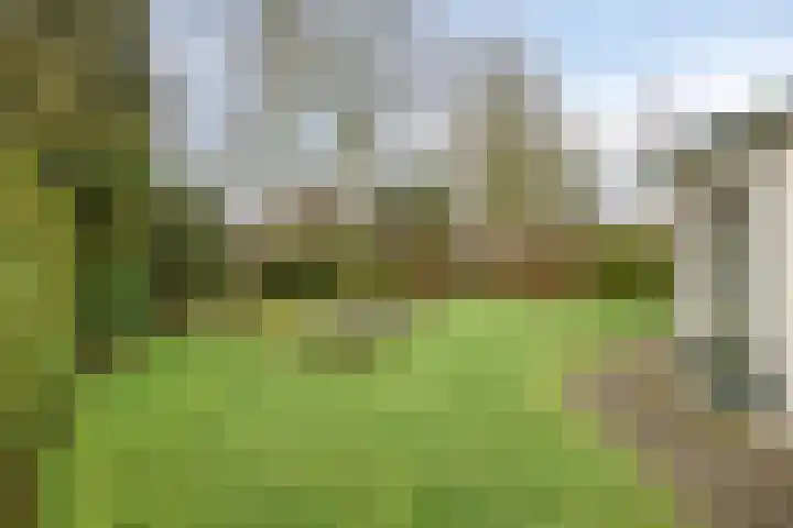 Hoogerwerfsweg "De elf Boompjes" 87 Bruinisse thumbnail 29