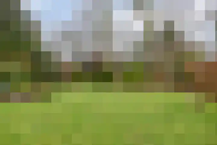 Hoogerwerfsweg "De elf Boompjes" 87 Bruinisse foto 3