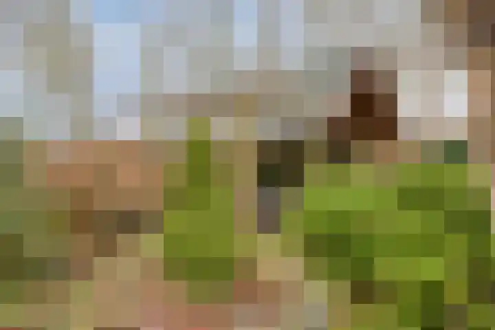 Hoogerwerfsweg "De elf Boompjes" 87 Bruinisse thumbnail 30