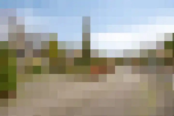 Hoogerwerfsweg "De elf Boompjes" 87 Bruinisse thumbnail 4