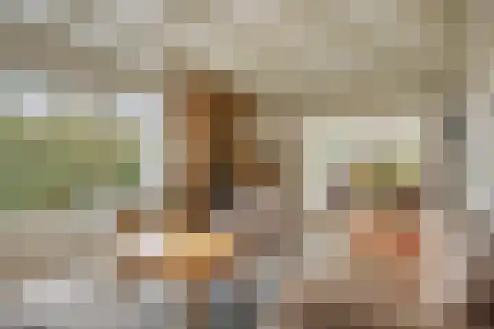Hoogerwerfsweg "De elf Boompjes" 87 Bruinisse thumbnail 6