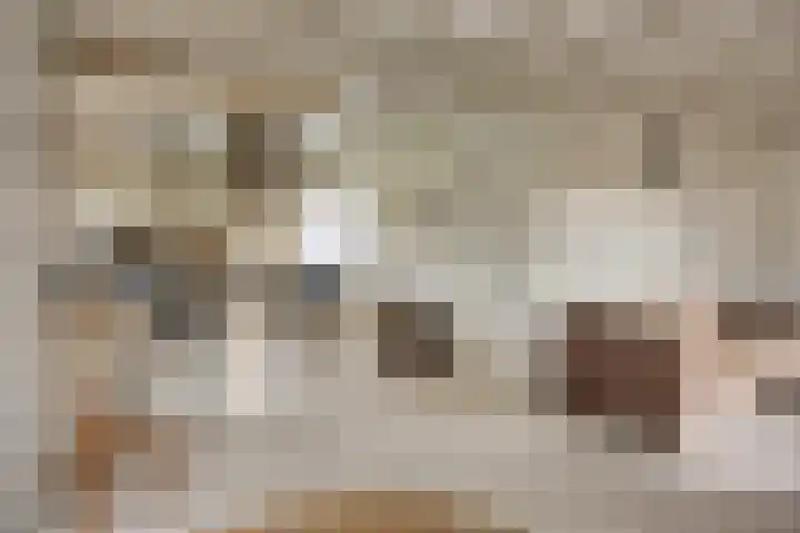 Hoogerwerfsweg "De elf Boompjes" 87 Bruinisse thumbnail 9