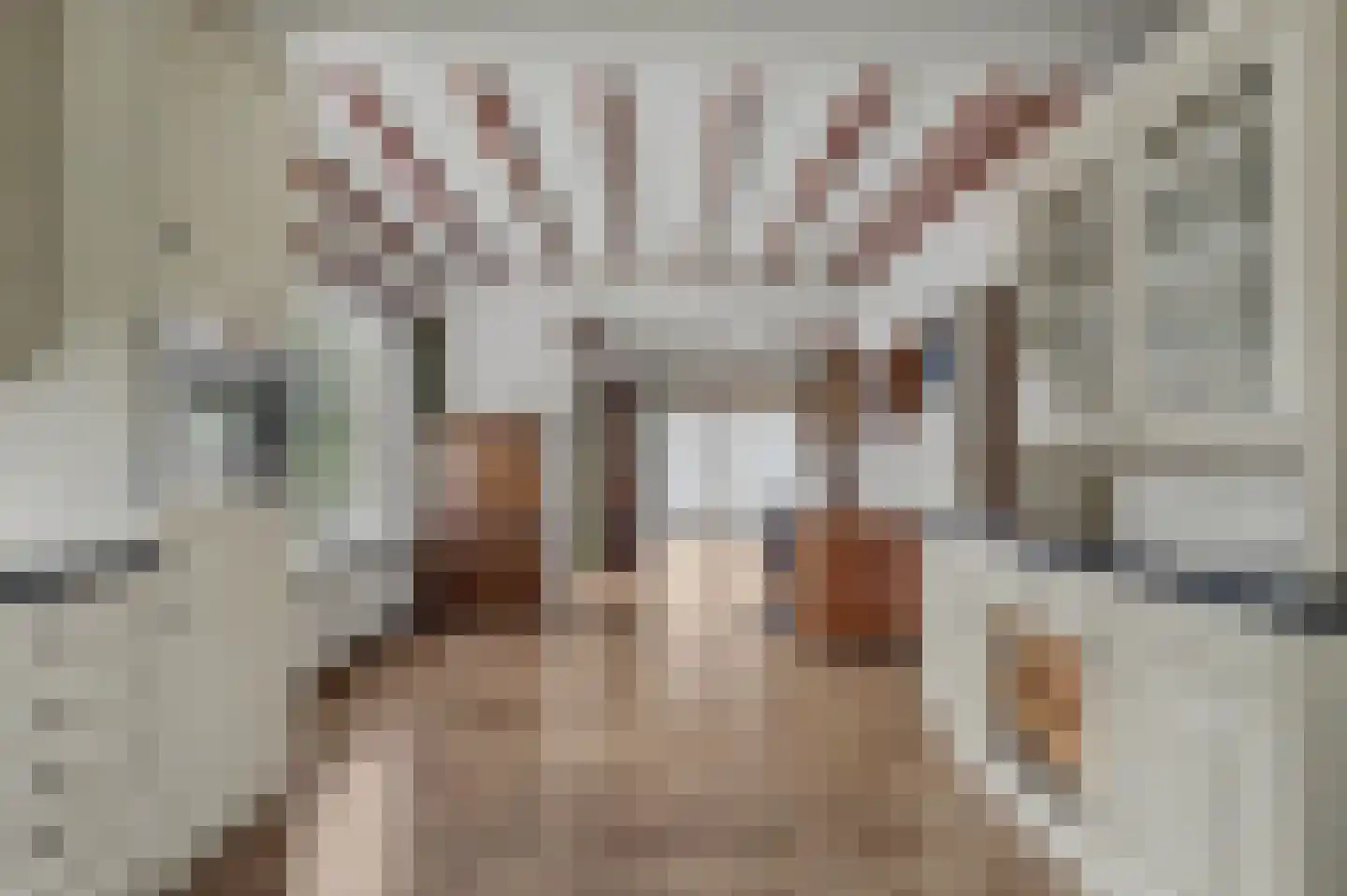 Hoogerwerfsweg "De elf Boompjes" 90 Bruinisse thumbnail 13