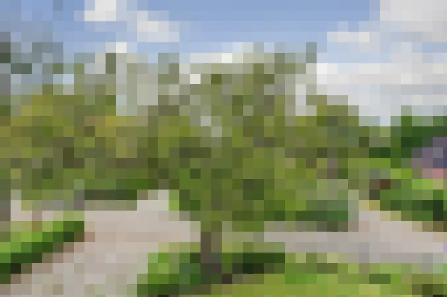 Hoogerwerfsweg "De elf Boompjes" 90 Bruinisse thumbnail 24