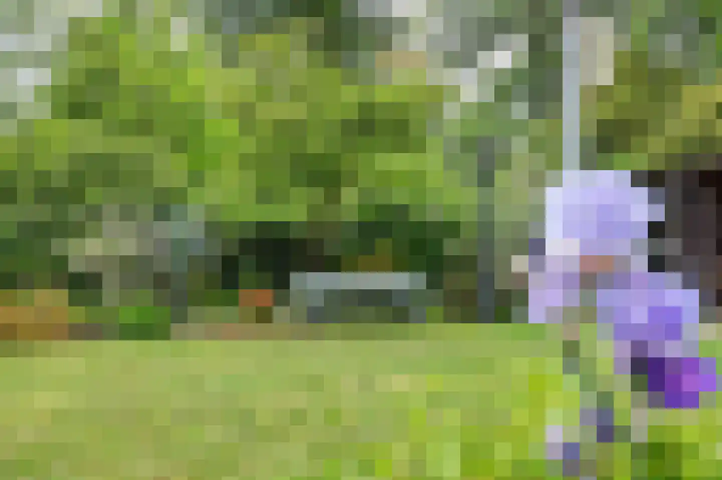 Hoogerwerfsweg "De elf Boompjes" 90 Bruinisse thumbnail 26
