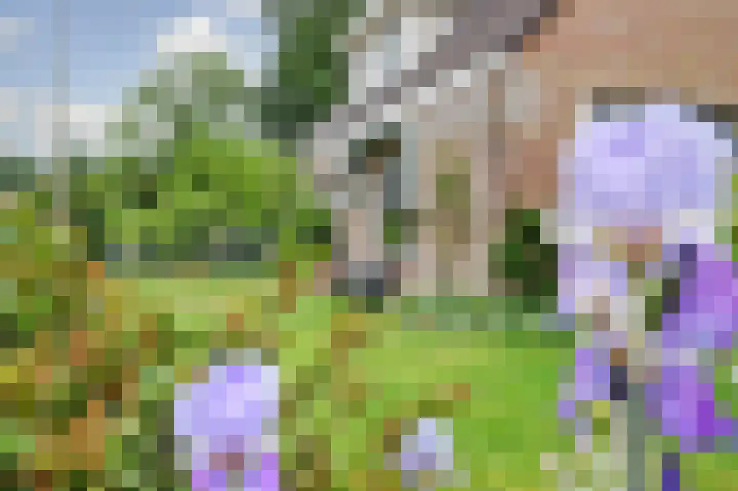 Hoogerwerfsweg "De elf Boompjes" 90 Bruinisse thumbnail 29