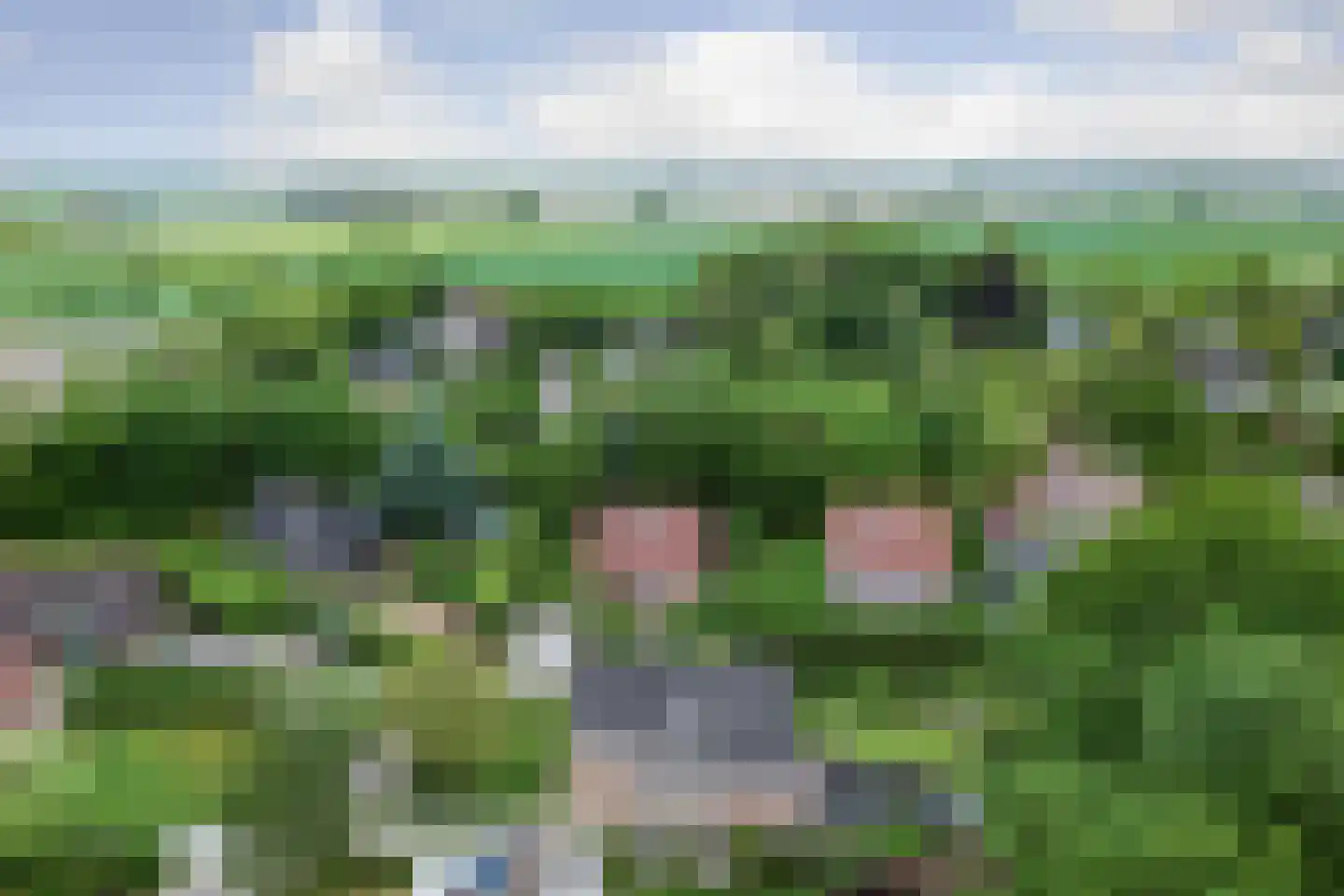 Hoogerwerfsweg "De elf Boompjes" 90 Bruinisse thumbnail 35