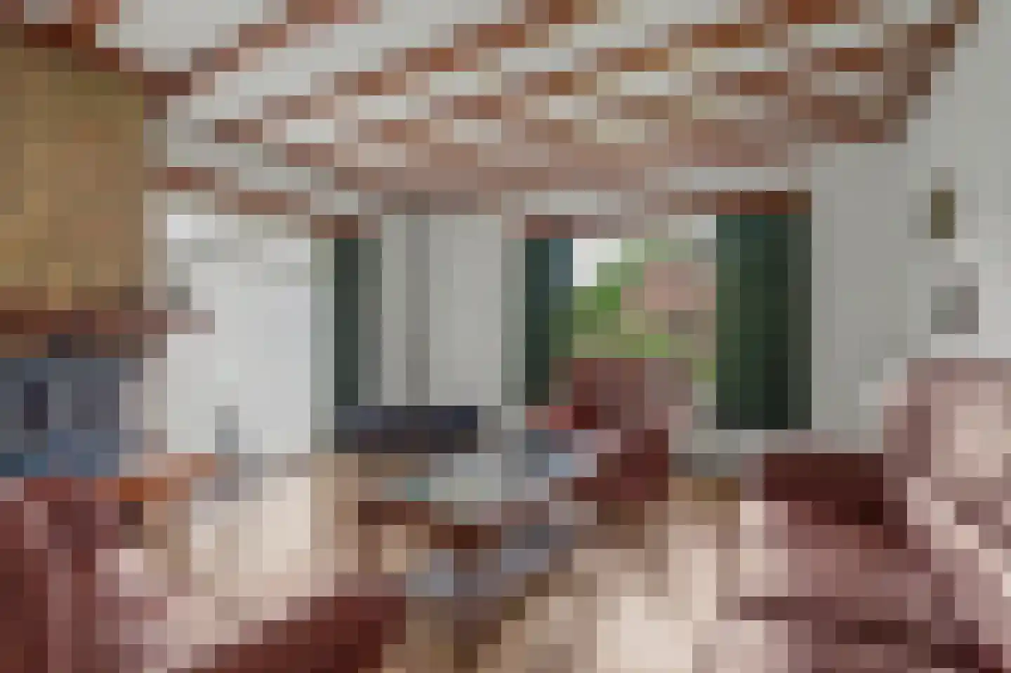 Hoogerwerfsweg "De elf Boompjes" 90 Bruinisse thumbnail 9