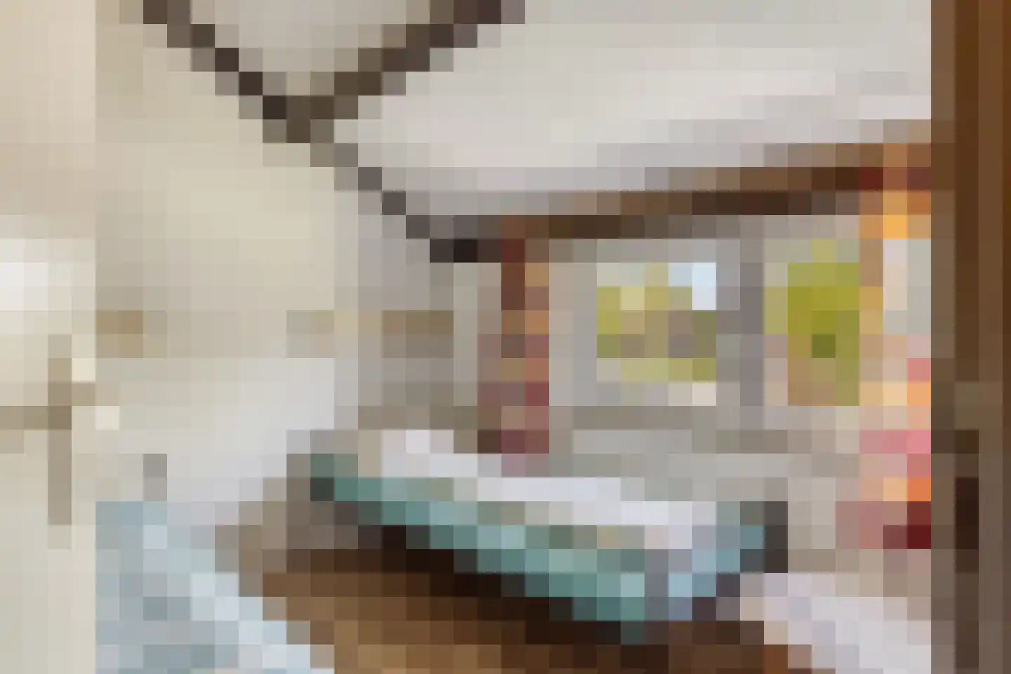 Hoogerwerfsweg "De Tong" 118 Bruinisse thumbnail 14