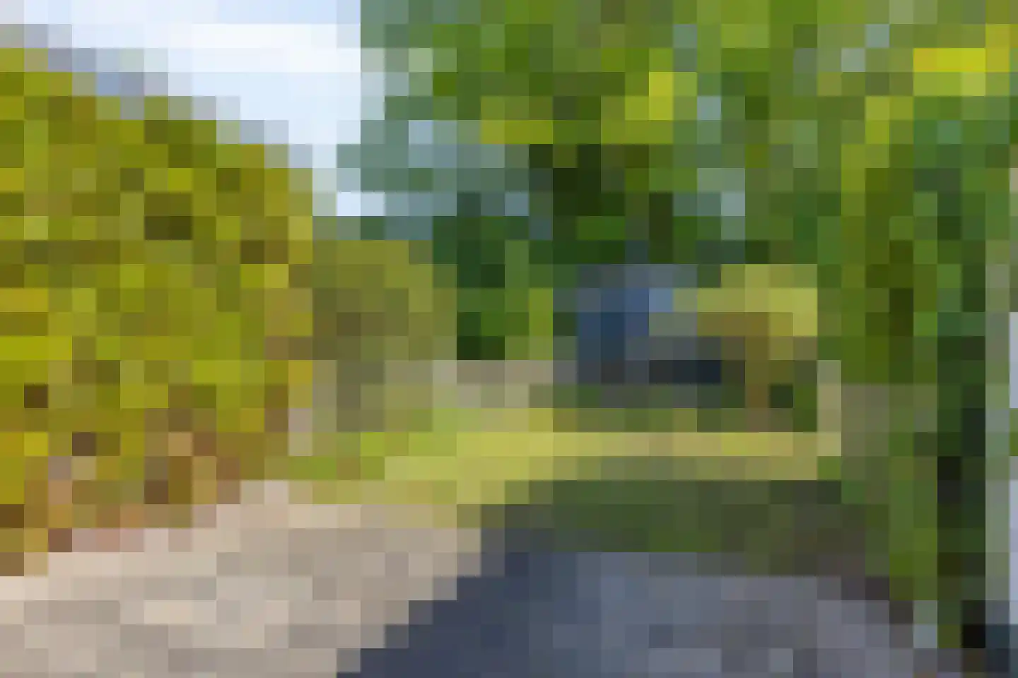 Hoogerwerfsweg "De Tong" 118 Bruinisse thumbnail 18