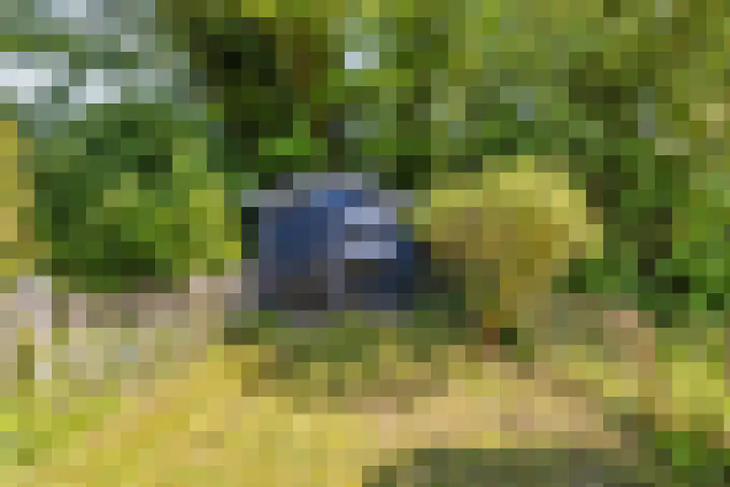 Hoogerwerfsweg "De Tong" 118 Bruinisse thumbnail 19