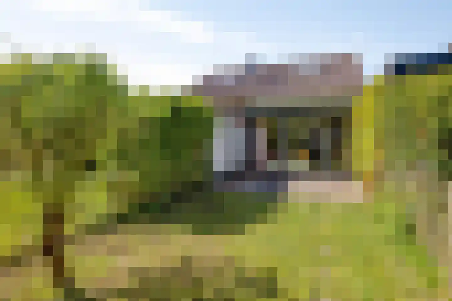 Hoogerwerfsweg "De Tong" 118 Bruinisse thumbnail 4