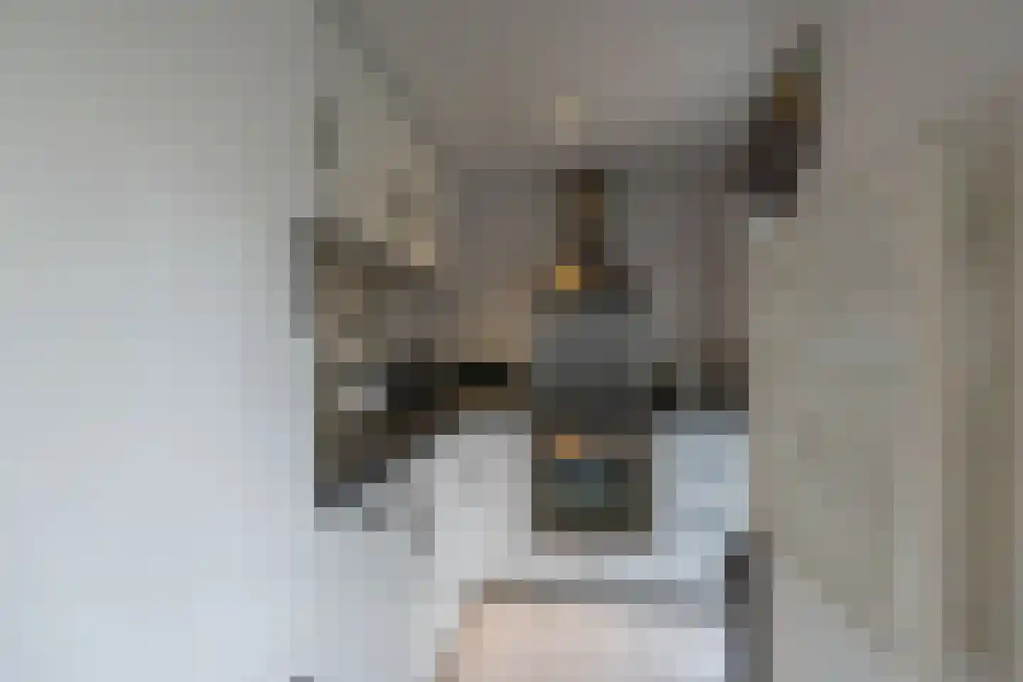 Hoogerwerfsweg "De Tong" 132 Bruinisse thumbnail 11