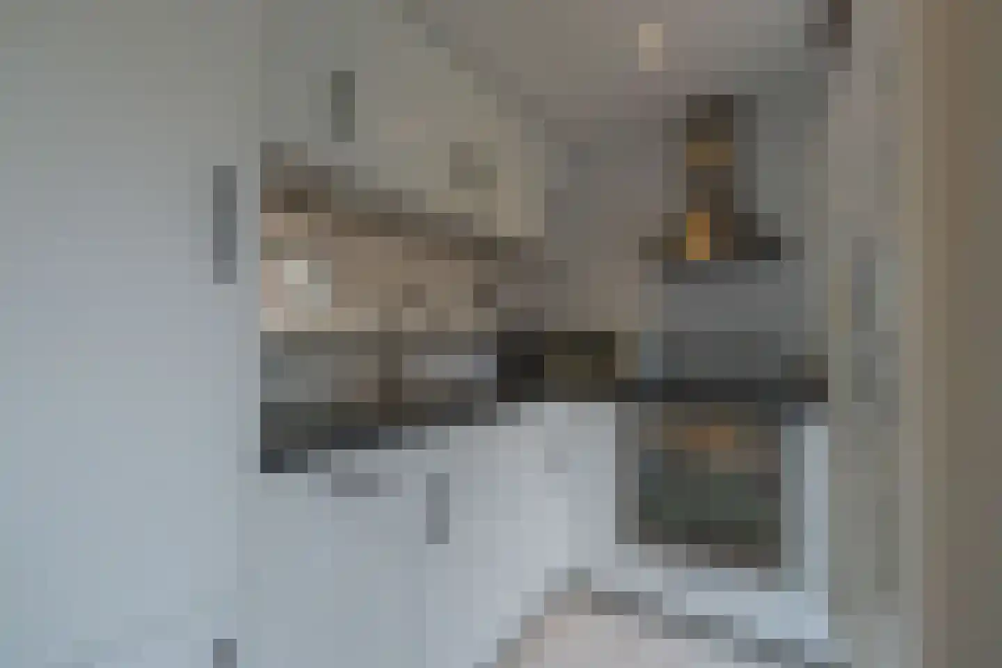 Hoogerwerfsweg "De Tong" 132 Bruinisse thumbnail 12