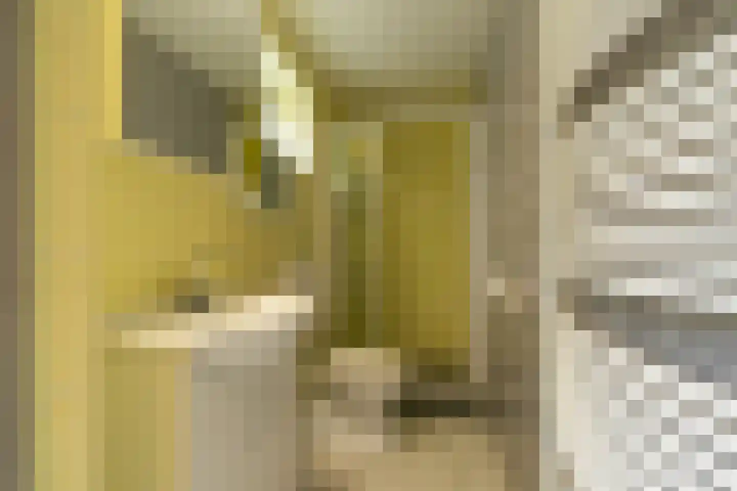 Hoogerwerfsweg "De Tong" 132 Bruinisse thumbnail 15