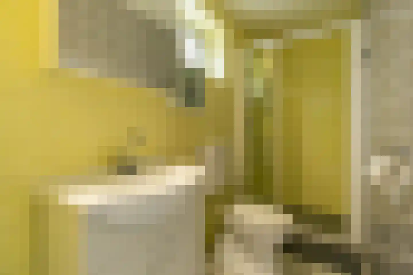 Hoogerwerfsweg "De Tong" 132 Bruinisse thumbnail 16