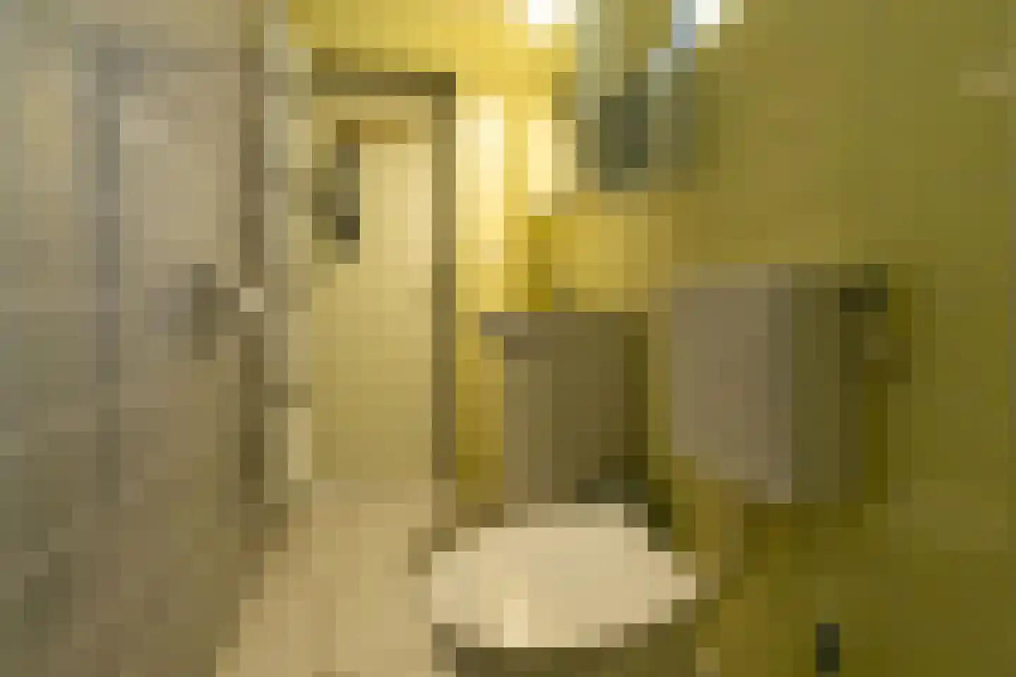 Hoogerwerfsweg "De Tong" 132 Bruinisse thumbnail 17