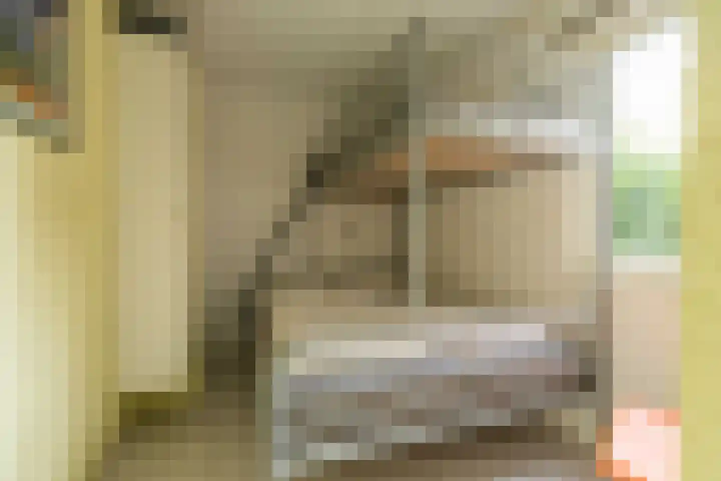 Hoogerwerfsweg "De Tong" 132 Bruinisse thumbnail 18